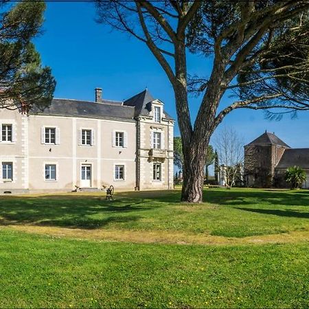 Vignoble Chateau Piegue - Winery Rochefort-sur-Loire Экстерьер фото